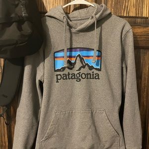 Gray Patagonia Sweatshirt